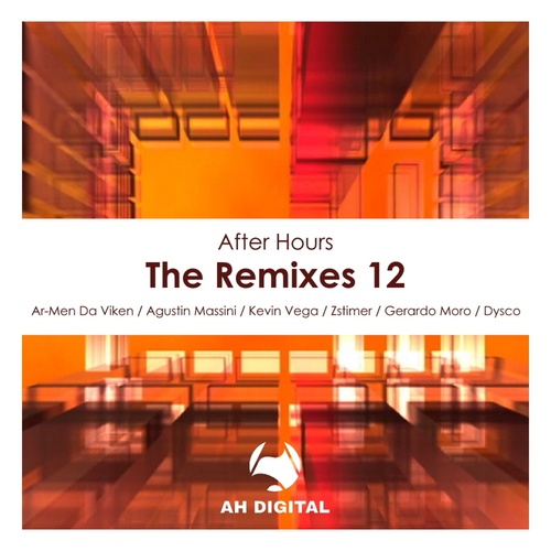 VA - After Hours - the Remixes 12 [AHD207]
